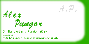 alex pungor business card
